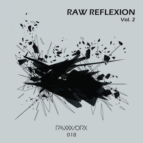 VA - RAW Reflexion Vol. 2